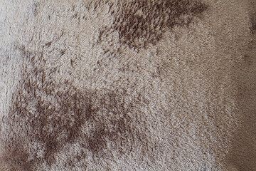 Texture of soft fleecy gray fabric. Cushion material