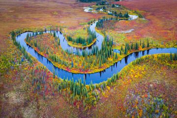 Aerial view of tundra with trees and meandering river in autumn colours, Alaska