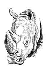 Rhinoceros head hand drawn sketch. Rhino portrait black engraving isolated on white background. Vector illustration