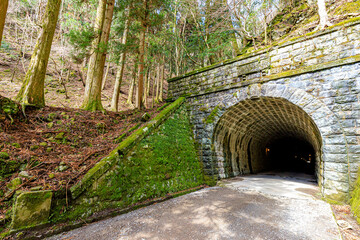 初春の旧天城トンネル　静岡県伊豆市　Old Amagi Tunnel in early spring....