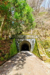 初春の旧天城トンネル　静岡県伊豆市　Old Amagi Tunnel in early spring. Shizuoka-ken Izu city.