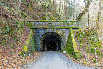 初春の旧天城トンネル　静岡県伊豆市　Old Amagi Tunnel in early spring. Shizuoka-ken Izu city.