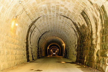 初春の旧天城トンネル　静岡県伊豆市　Old Amagi Tunnel in early spring. Shizuoka-ken Izu city.
