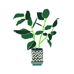 Indoor Plants. Interior design plant