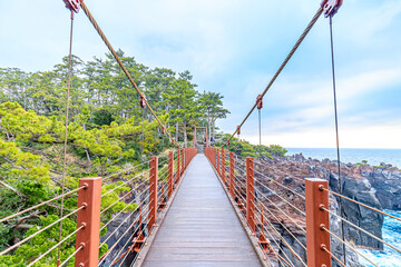 初春の城ヶ崎海岸　静岡県伊東市　Jogasaki coast in early spring. Shizuoka-ken Ito city.