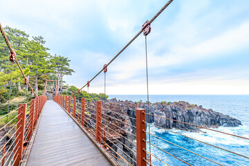 初春の城ヶ崎海岸　静岡県伊東市　Jogasaki coast in early spring. Shizuoka-ken Ito...