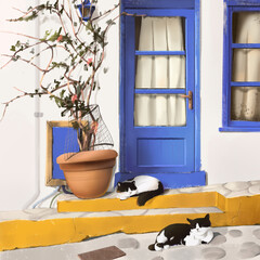 Illustration. Two cats bask in the sun near an old Italian house. Background for postcards, wallpapers, books and more.