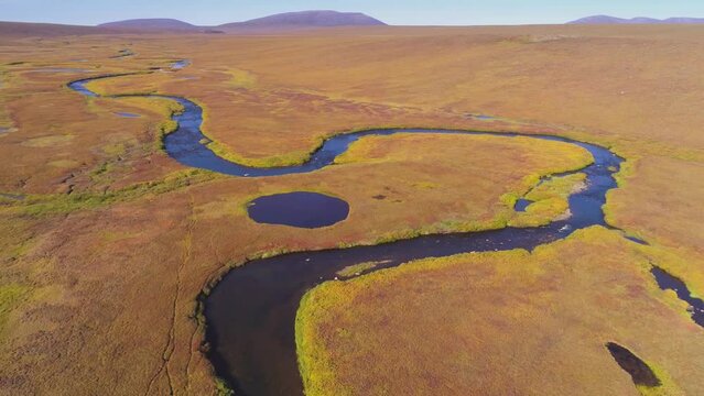 Backward drone flight over the tundra of the north slope in autumn colors, Alaska, USA