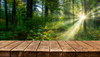 Empty old wooden table with sunny forest in background