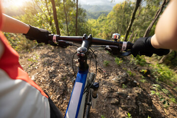 Fototapeta na wymiar Mountain biking in spring forest