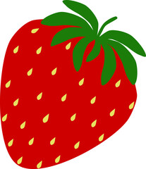 Vector illustration of red strawberry