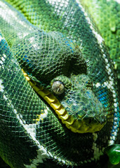 Obraz premium Photographie 