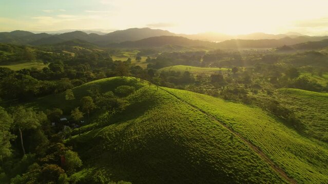 AERIAL: Flying backwards over lush green tropical landscape on beautiful misty morning. Calm river running through green hills at golden sunset. Low flight over trees and pasture meadows at sunrise