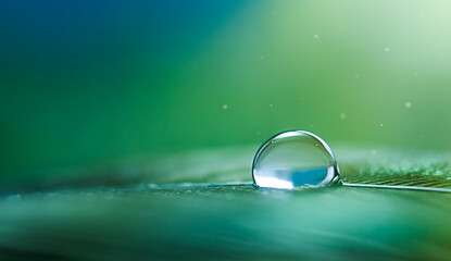A drop of water in shades of green in the sun's rays in a macro.