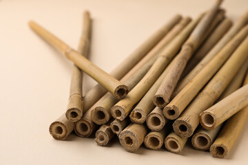 Dry bamboo sticks on beige background, closeup