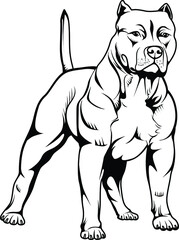 American Bully Dog line art vector illustration