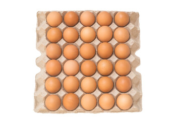 Top view of eggs in open carton or paper tray isolated on white background with clipping path