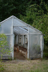 greenhouse for a vegetable garden.