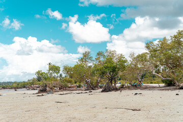 Pristine white tropical beach with rocks, blue sea and lush vegetation on the African Island of Pemba, Zanzibar.