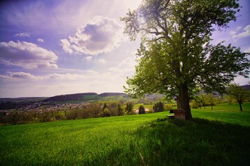 Aussichtspunkt mit Wegkreuz und Holzbank über Gut Ritthof auf dem Alfred Döblin Weg im Bliesgau,...