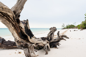 Pristine white tropical beach with rocks, blue sea and lush vegetation on the African Island of Pemba, Zanzibar.
