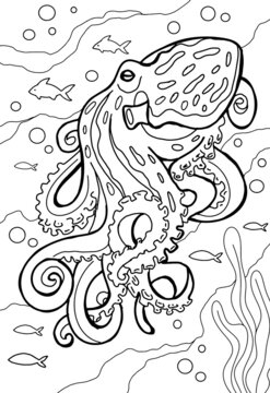 Anti stress coloring book for adults, children. Sea series of coloring books. Line art design for adult or kids coloring pages in zentangle style. For print. Set of vector illustrations. Octopus