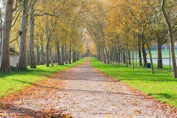 path in the park in French town on autumn day