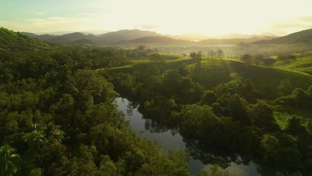 AERIAL: Flying forwards over lush green tropical landscape on beautiful misty morning. Calm river running through green hills at golden sunset. Low flight over trees and pasture meadows at sunrise.