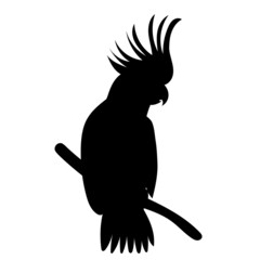parrot on a branch silhouette, on a white background, isolated, vector