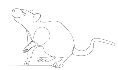 mouse continuous line drawing, sketch, vector