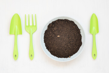 View from above. There is a plate of soil on the table. Nearby instead of cutlery lies garden tools. Concept