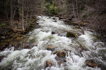 waterfall in the forest