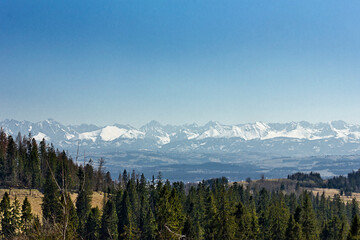 Fototapeta na wymiar landscape with forest and mountains on the horizon. Polish Tatras