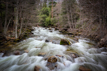 waterfall in the forest