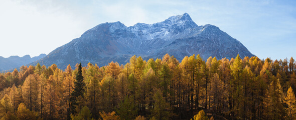 The woods and nature of Engadine: one of the most beautiful and famous valleys in Switzerland, near...