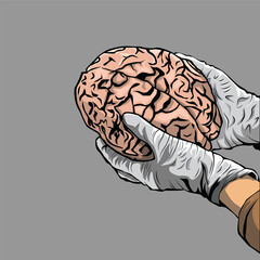 Vector illustration A brain is being held with both human hands. Negative space. Suitable for poster design