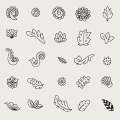 set of flora doodle ornament background

