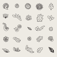 Fototapeta premium set of flora doodle ornament background 