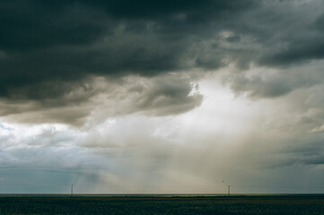 Naklejka na ściany i meble storm clouds over the field of a soybean plantation