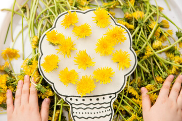 Kids sensory tool. DIY at home toy with natural dandelion. Fun outdoor flower decorating activity....