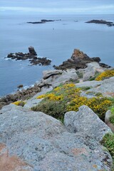 Fototapeta na wymiar beautiful view on the sea from the Milliau island in Brittany France