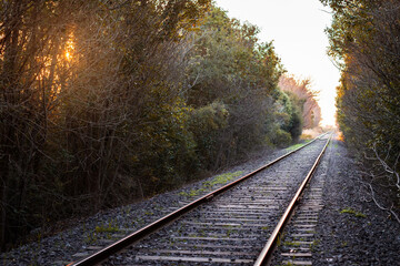 Fototapeta na wymiar Vista en perspectiva de tren, con bosques al rededor