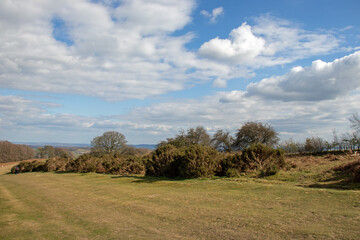 Hergest ridge along the border of England and Wales.