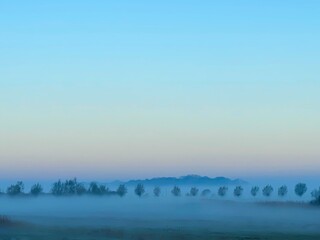 Foggy morning in a Dutch polder near Den Bosch
