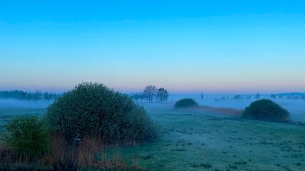 Foggy morning in a Dutch polder near Den Bosch - obrazy, fototapety, plakaty