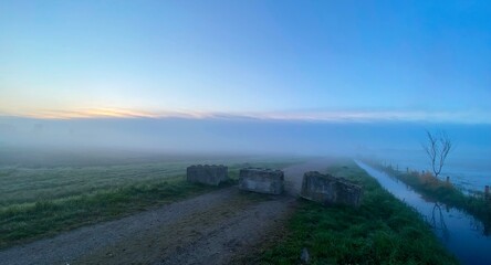 Foggy morning in a Dutch polder near Den Bosch