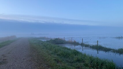 Foggy morning in a Dutch polder near Den Bosch