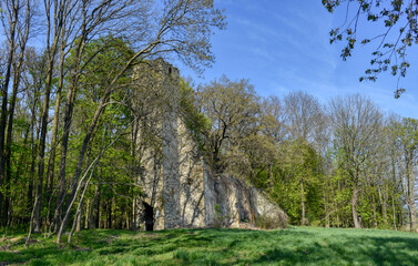 St. C&auml;cilia, Sankt C&auml;cilia, Kirche, Ruine, Lost Place, Urban Exploring, Urbex, Kirchenruine, Mittelalter, eingest&uuml;rzt, Wald, Waldrand, Mauer, Mauerreste, Stein, verfallen, Turm, Kirchturm, Kirchenschi