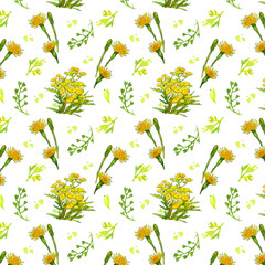 seamless watercolor pattern of wild flowers on a white background.