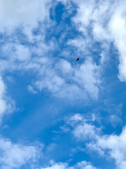 clouds in the sky and the bird flying